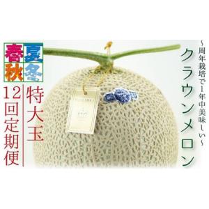 ふるさと納税 メロン メロン青肉 静岡県 袋井...の詳細画像1