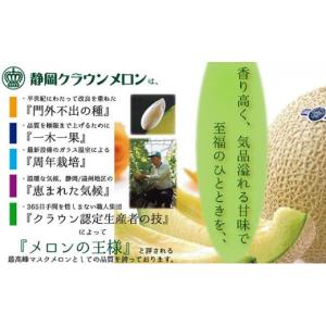 ふるさと納税 メロン メロン青肉 静岡県 袋井...の詳細画像3