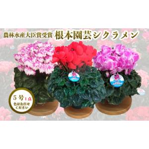 ふるさと納税 雑貨・日用品 花 福島県 南相馬...の詳細画像1