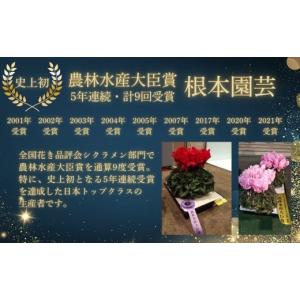 ふるさと納税 雑貨・日用品 花 福島県 南相馬...の詳細画像2