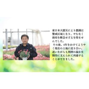ふるさと納税 雑貨・日用品 花 福島県 南相馬...の詳細画像4