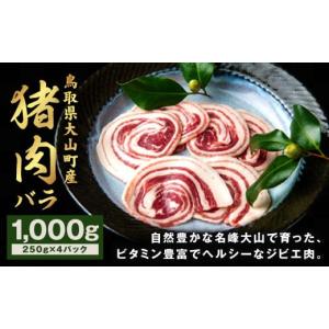 ふるさと納税 鳥取県 大山町 GB-06　猪肉　バラ　1kg（250g×4パック）