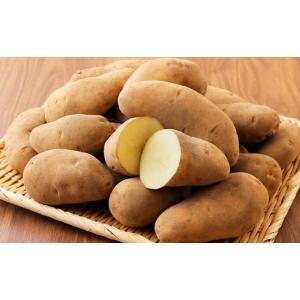 ふるさと納税 野菜類 じゃがいも 北海道 上士...の詳細画像4