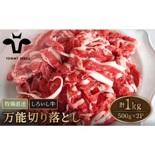 ふるさと納税 佐賀県 白石町 【牧場直送】佐賀県産 しろいし牛 万能 切落し 1kg（500g×2パ...