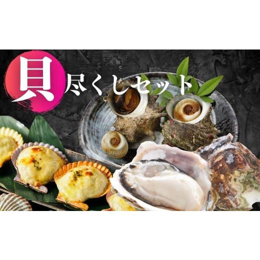 ふるさと納税 島根県 海士町 【海士の貝づくしセット】ブランド岩牡蠣・さざえ・ひおうぎ貝の島の絶品海...