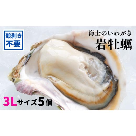 ふるさと納税 島根県 海士町 【殻剥き不要】ブランド岩牡蠣「春香」殻なし巨大3Lサイズ×5個（1.6...