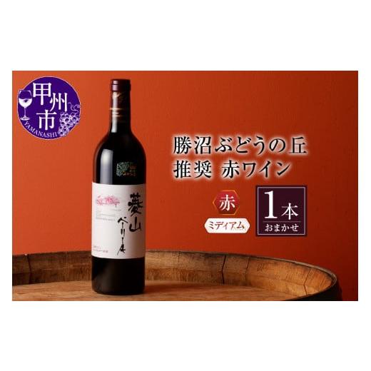 ふるさと納税 山梨県 甲州市 勝沼ぶどうの丘推奨 赤ワイン（ミディアムボディ）1本（KBO）B-65...