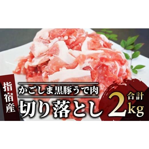 ふるさと納税 鹿児島県 指宿市 かごしま 黒豚 ウデ 切落し 250g×8P セット (岡村商店／A...