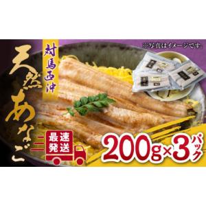 ふるさと納税 長崎県 対馬市 対馬産 西沖あなご 200g×3パック《対馬市》【保家商事】 あなご アナゴ 穴子 海鮮 海産物 魚介 人気 ランキング 冷凍 対馬 長崎 …｜furusatochoice