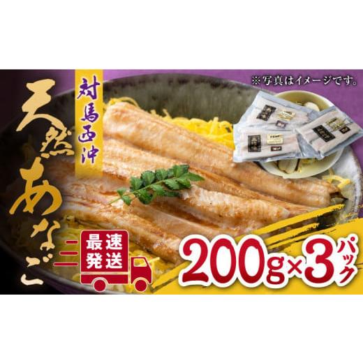 ふるさと納税 長崎県 対馬市 対馬産 西沖あなご 200g×3パック《対馬市》【保家商事】 あなご ...