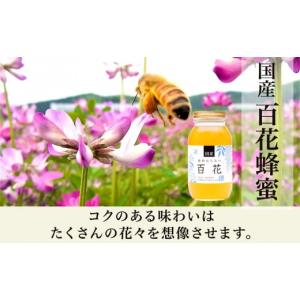 ふるさと納税 加工品等 はちみつ 岐阜県 大野...の詳細画像2