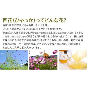 ふるさと納税 加工品等 はちみつ 岐阜県 大野...の詳細画像3
