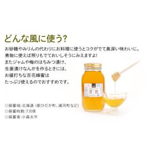 ふるさと納税 加工品等 はちみつ 岐阜県 大野...の詳細画像4