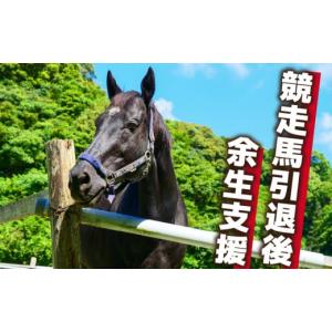 ふるさと納税 高知県 須崎市 競走馬 支援 1万円 コース 黒潮友馬会応援 10000円 特典 ポストカード 競馬 サラブレッド 引退 高知県 須崎市｜furusatochoice