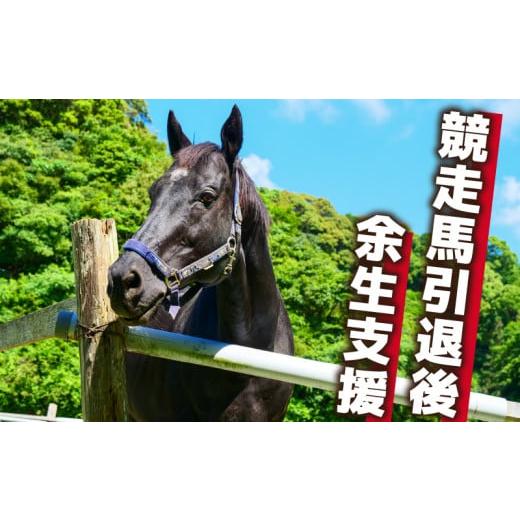 ふるさと納税 高知県 須崎市 競走馬 支援 1万円 コース 黒潮友馬会応援 10000円 特典 ポス...