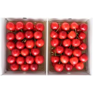 ふるさと納税 果物類 さくらんぼ 山形県 天童市 07-09-002　さくらんぼ(紅秀峰)700g