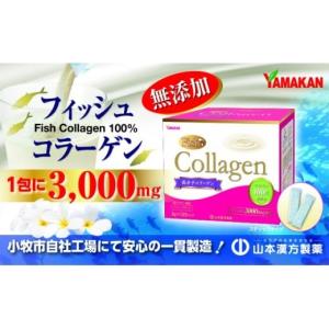 ふるさと納税 健康食品 愛知県 小牧市 徳用 山...の商品画像