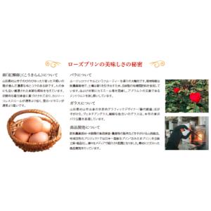 ふるさと納税 菓子 プリン 山形県 村山市 藤...の詳細画像2