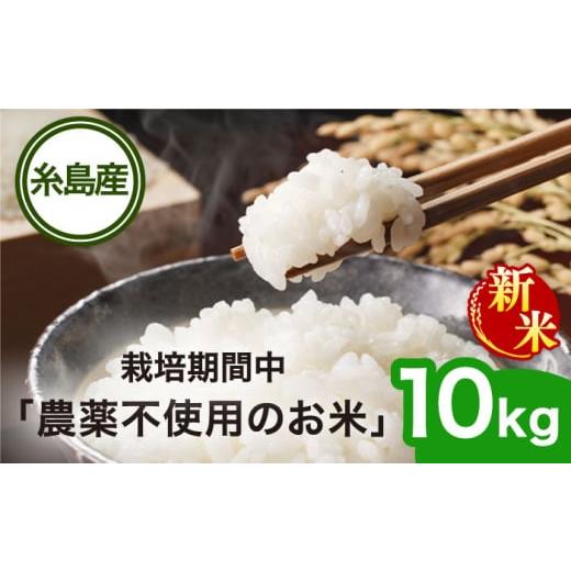 ふるさと納税 福岡県 糸島市 【令和5年産】栽培期間中 農薬不使用のお米 ヒノヒカリ 10kg 糸島...