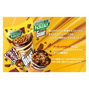 ふるさと納税 菓子 アイス 兵庫県 三木市 定...の詳細画像4