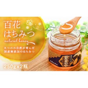 はちみつ レアハワイアン オーガニック ホワイトハニー 8oz 2本セット