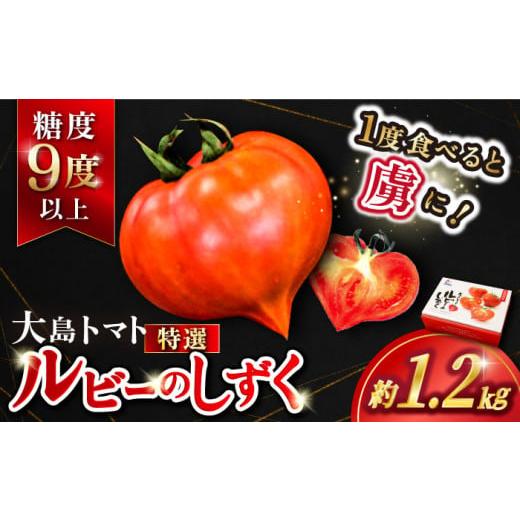 ふるさと納税 野菜類 トマト 長崎県 西海市 トマト 高糖度 2026年収穫分先行予約 糖度9度以上...