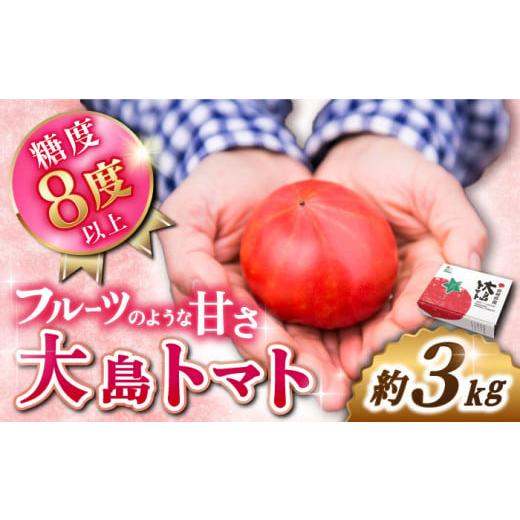 ふるさと納税 野菜類 トマト 長崎県 西海市 トマト 高糖度 2026年収穫分先行予約 糖度8度以上...