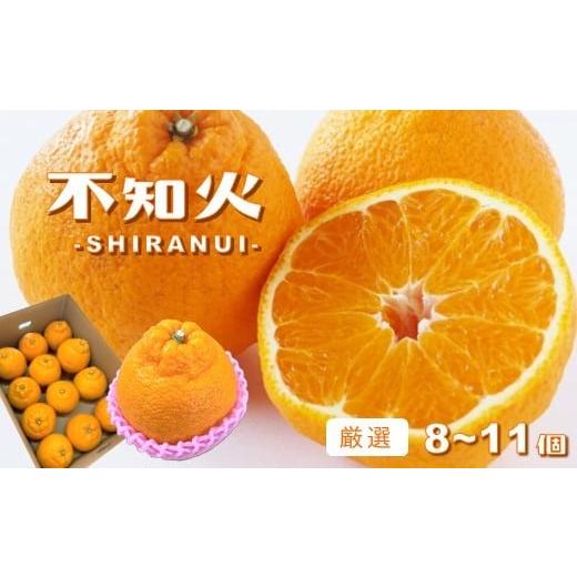 ふるさと納税 みかん・柑橘類 デコポン 熊本県 玉名市 玉名産 「 不知火 」 厳選 8〜11個 |...