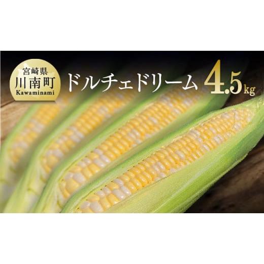 ふるさと納税 宮崎県 川南町 【 令和6年発送 】 宮崎県産 とうもろこし 大山さんちの スイートコ...