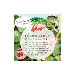 ふるさと納税 果汁飲料 やさい 山梨県 富士吉...の詳細画像5