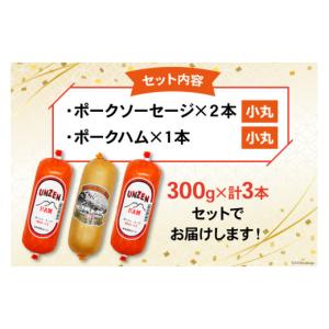 ふるさと納税 肉 ハム 長崎県 島原市 GD1...の詳細画像5