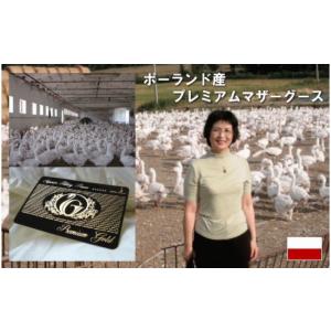 ふるさと納税 タオル・寝具 掛け布団 山梨県 ...の詳細画像2