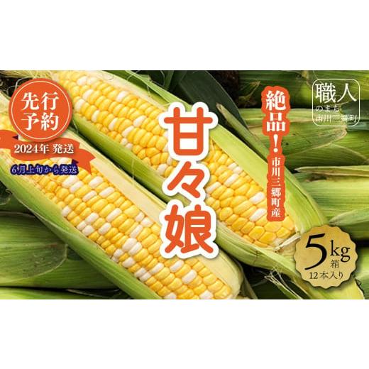 ふるさと納税 山梨県 市川三郷町 絶品！市川三郷町産甘々娘（とうもろこし）12本入り 5kg箱　【2...