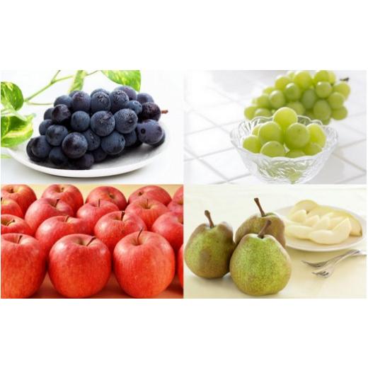 ふるさと納税 果物の詰合せ 山形県 天童市 08-08-044　天童特選秋のフルーツ盛合せ