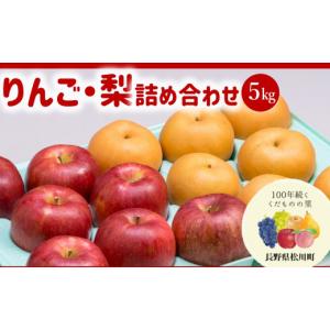 ふるさと納税 りんご 長野県 松川町 AS04 りんご・梨 詰め合わせ シナノスイート・南水（松川町産）秀品 約5kg ／2026年10月上旬〜10月中旬頃 配送予定 ／／ …