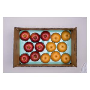 ふるさと納税 りんご 長野県 松川町 AS04...の詳細画像5