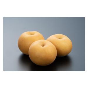 ふるさと納税 梨 長野県 松川町 AS02 梨...の詳細画像2