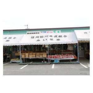 ふるさと納税 梨 長野県 松川町 AS02 梨...の詳細画像5