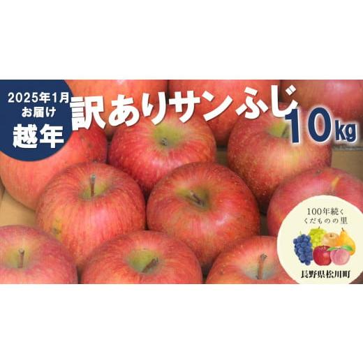 ふるさと納税 長野県 松川町 AS13-24A りんご サンふじ 越年自家用 （松川町産）約10kg...