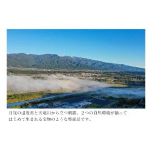 ふるさと納税 果物類 柿 長野県 松川町 JA...の詳細画像4