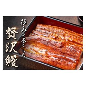 ふるさと納税 うなぎ 鹿児島県 大崎町 数量限...の詳細画像2
