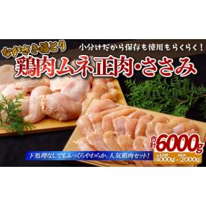 ふるさと納税 長崎県 佐世保市 B304p ながさき福とり鶏肉ムネ正肉・ささみ(計6,000g)｜ふるさとチョイス