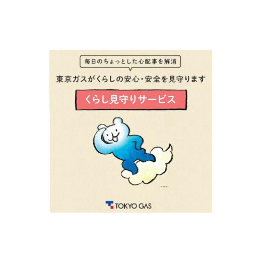 ふるさと納税 神奈川県 海老名市 東京ガスのくらし見守りサービスご家族見守り（１年間）神奈川県 海老...