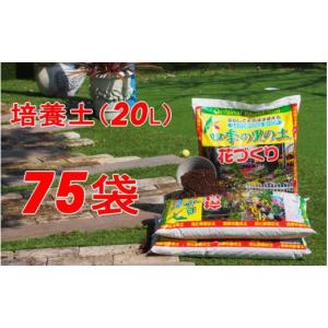 ふるさと納税 雑貨・日用品 福岡県 朝倉市 9...の詳細画像1