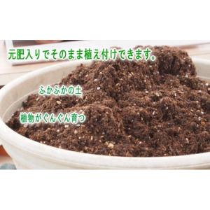 ふるさと納税 雑貨・日用品 福岡県 朝倉市 9...の詳細画像2