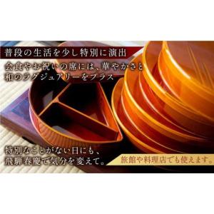 ふるさと納税 雑貨・日用品 岐阜県 高山市 飛...の詳細画像3