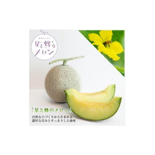ふるさと納税 メロン メロン青肉 長野県 御代田町  令和8年度産先行受付 星と蜂のメロン　Lサイズ...