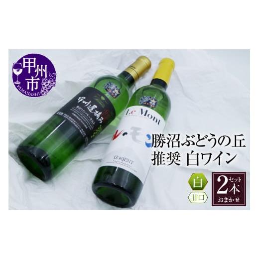 ふるさと納税 山梨県 甲州市 勝沼ぶどうの丘推奨 白ワイン（甘口）2本セット（KBO）B2-621