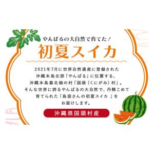 ふるさと納税 スイカ 沖縄県 国頭村 先行受付...の詳細画像2