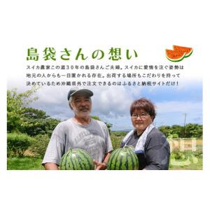 ふるさと納税 スイカ 沖縄県 国頭村 先行受付...の詳細画像4